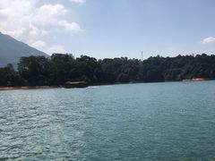 -广州市流溪河国家森林公园