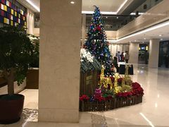 -苏州西交利物浦大学国际会议中心