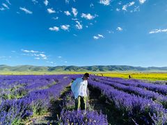 -青海湖国家重点风景名胜区
