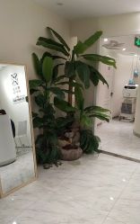 -健身堂科技美肌SPA