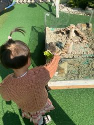 -可可天空农场(中大店)