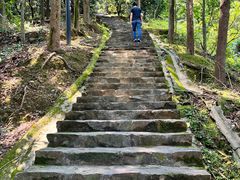 -风云岭森林公园