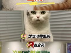 -悦宠动物医院(京丰分院)