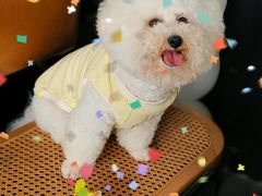 -佳雯宠物医院·皮肤科·内外科(春晓路分院)