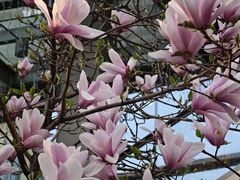 -中粮·祥云小镇