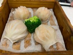 -鹅城