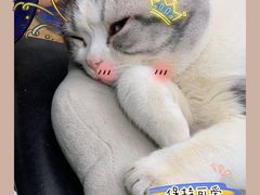 -百金通黄金回收首饰定制维修(珠江路总部)