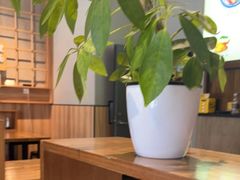 -小义乌砂锅拉面(海事共享区店)