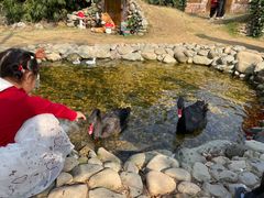 -HERRE·FARM 赫尔露营农场·团建聚会包场