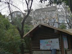 -神仙树公园