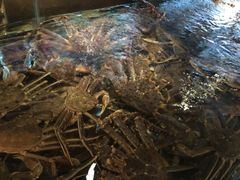 -蟹之国·精品蟹料理(极地店)