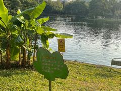 -晓港公园