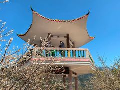 -广州市流溪河国家森林公园