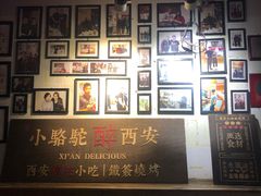 -福苗小骆驼烧烤(莲湖路店)