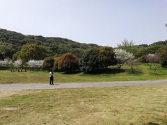 -苏州上方山国家森林公园