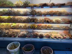 -牛华八婆麻辣烫(起源店)