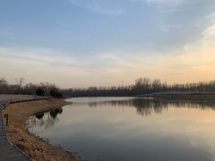 -东郊湿地公园