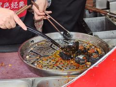 -黑色经典臭豆腐·湖南特产(坡子街店)