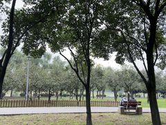 -洨河生态公园