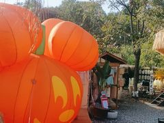 -HERRE·FARM 赫尔露营农场·团建聚会包场