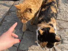 -井塘古村