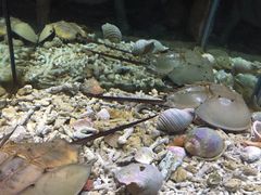 -苏州海洋馆