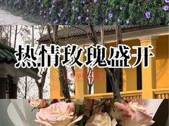 -火炉山森林公园