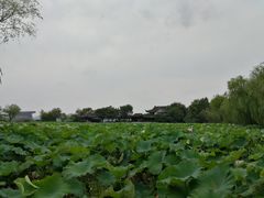 -高子水居