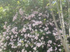 -和子足浴SPA会馆(竹山路店)