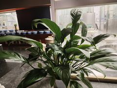 -艳阳天·非遗楚菜(武汉客厅店)