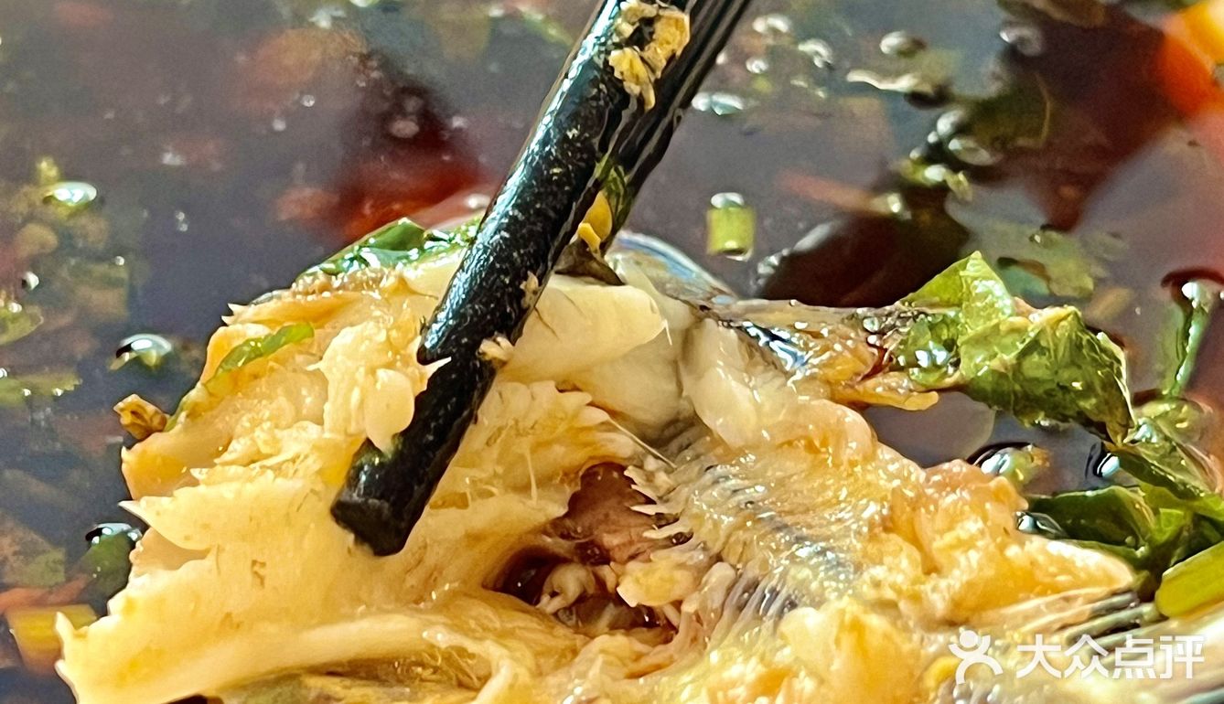 在成都！黄辣丁中的爱马仕，直接闭眼冲！