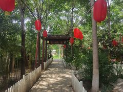 -草根堂农场