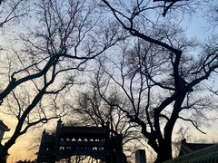 -北京国子监胡同