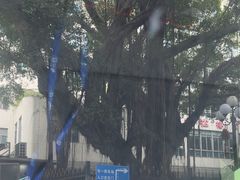 -广州市第一人民医院(院本部)