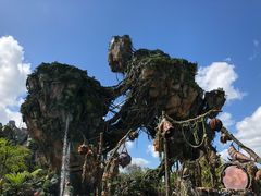 -奥兰多迪士尼动物王国乐园