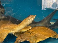 -华盛丰温州大排档(东三环南路店)