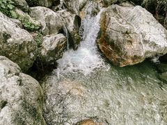 -虹口漂流