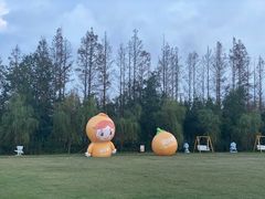 -前小桔亲子创意农场·草莓采摘·露营烧烤