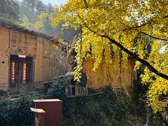 -杨家堂村