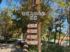 -阳台山自然风景区