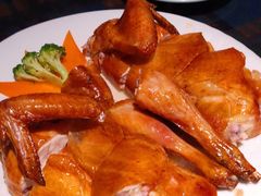 -幸福哟烧鸡·粤菜海鲜私厨(七星路店)