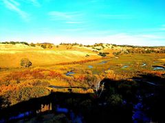 -塞罕坝国家级自然保护区