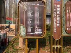 -东平国家森林公园