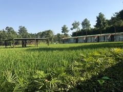 -洪湖家庭农场·团建·露营·会议