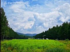 -塞罕坝国家级自然保护区