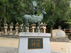 -奈良公园