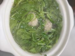 狮子头鸡毛菜汤-沪依小酒馆心意菜