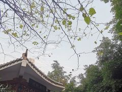 -龙头寺公园