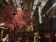 -金轩中餐厅 Jin Xuan(浦东丽思卡尔顿酒店)