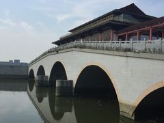 -大湾区中央湿地公园